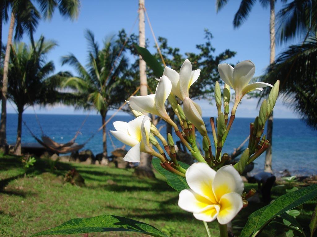 Camiguin Volcan Beach Eco Retreat & Dive Resort Mambajao Exterior foto
